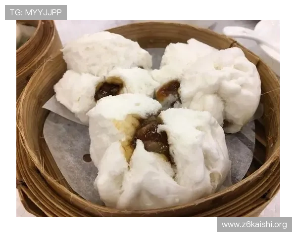 尊龙官方app官网入口最新安全登录指南与使用攻略推荐 尊龙官方app官网入口最新安全登录指南与使用攻略推荐