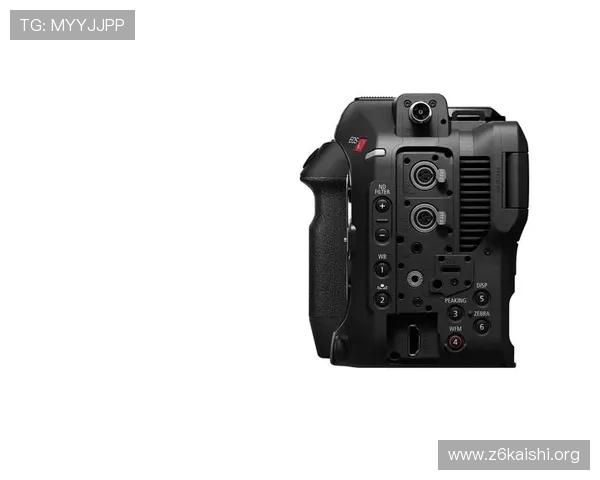 通过尊龙z6.com电游官网获取电游资讯与技巧的最佳途径